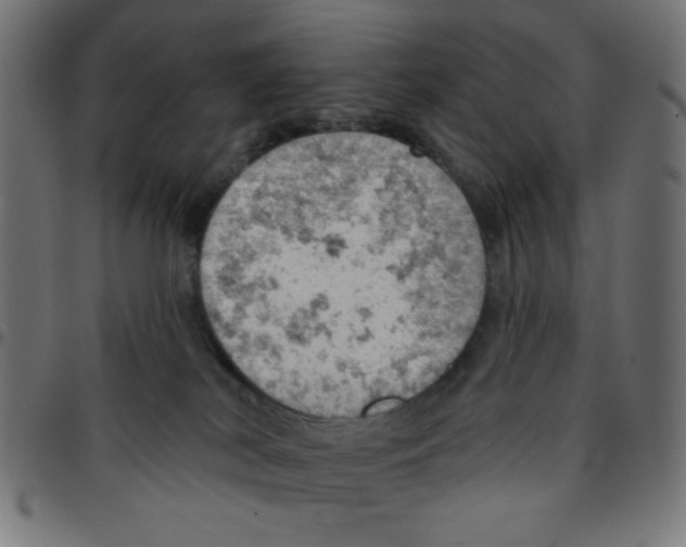 X0000096950038200803071038