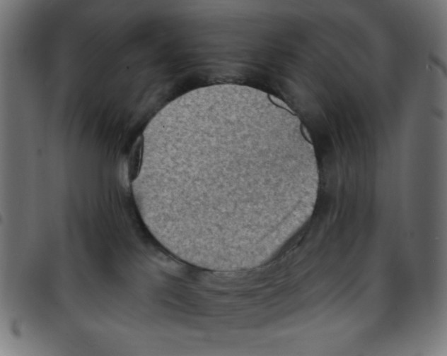 X0000096950041200803071037