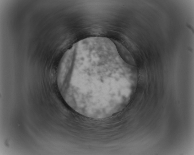 X0000096950043200803071037