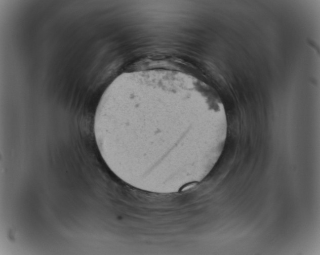 X0000096950044200803071037
