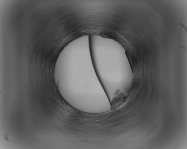 X0000096950045200803071037