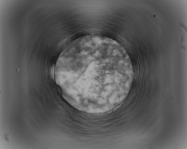 X0000096950047200803071037