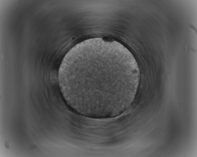 X0000096950048200803071037