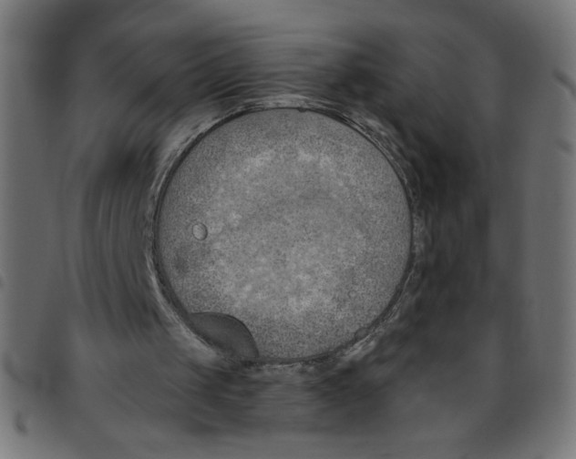 X0000096950049200803071037