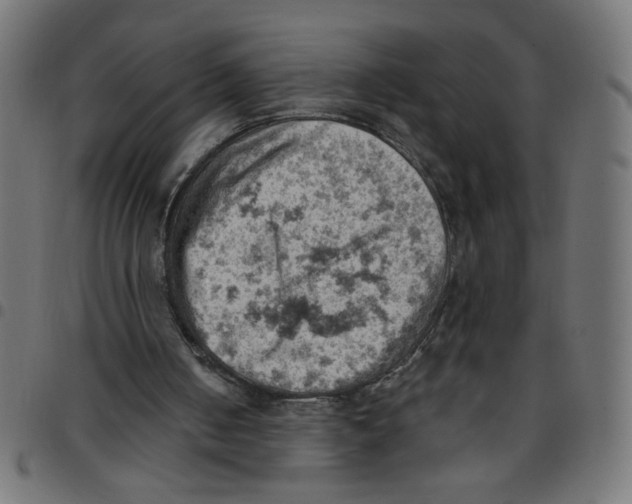 X0000096950050200803071037