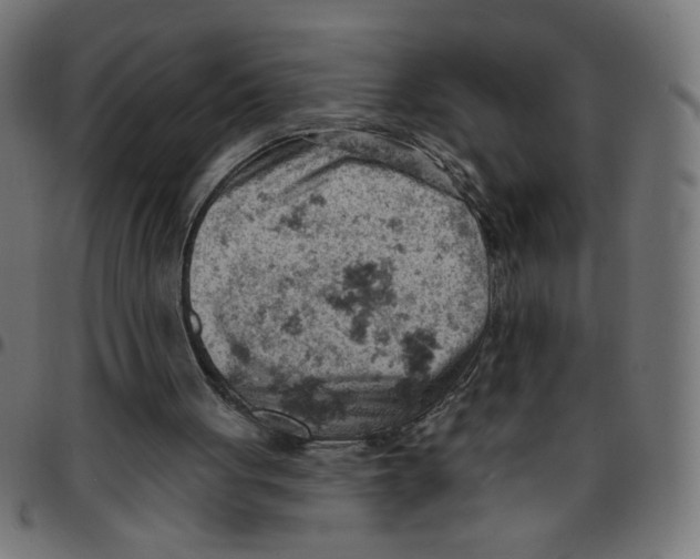 X0000096950051200803071037