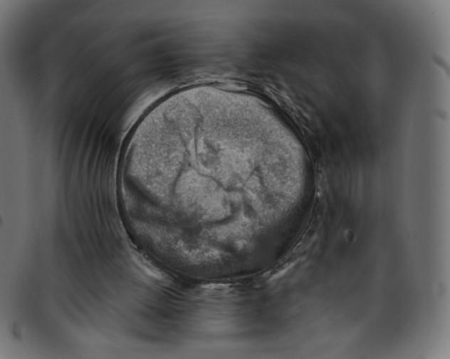 X0000096950052200803071037