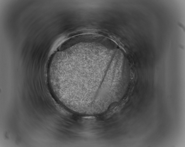 X0000096950053200803071037