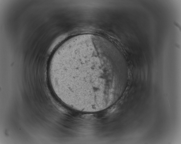 X0000096950054200803071037