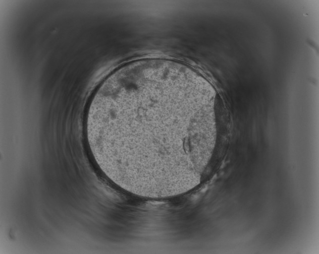 X0000096950055200803071037