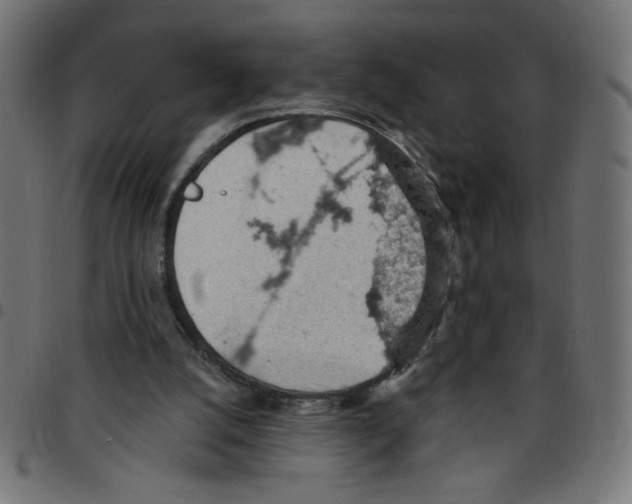 X0000096950056200803071037