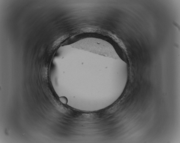 X0000096950057200803071037