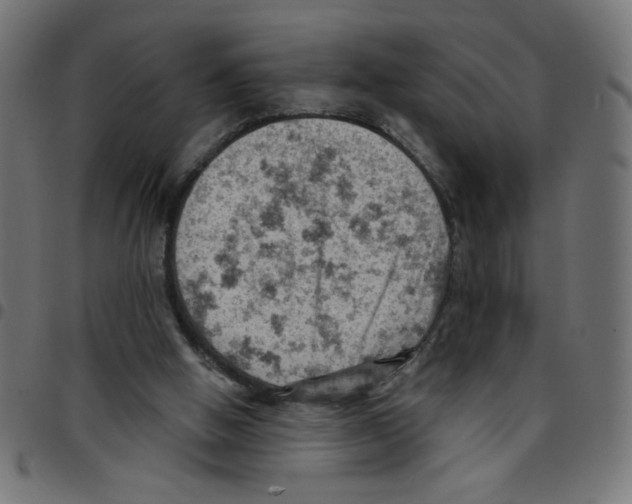 X0000096950058200803071037