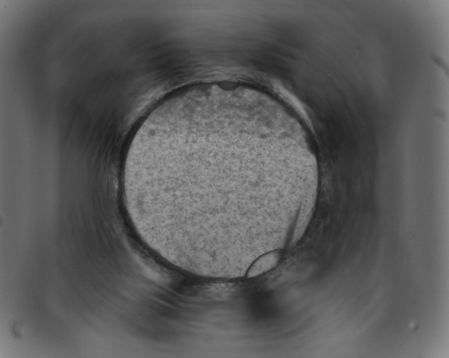 X0000096950059200803071037