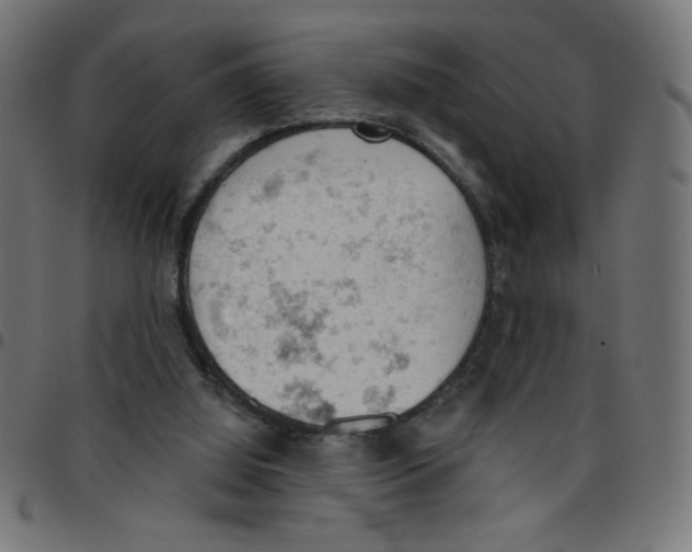 X0000096950060200803071037