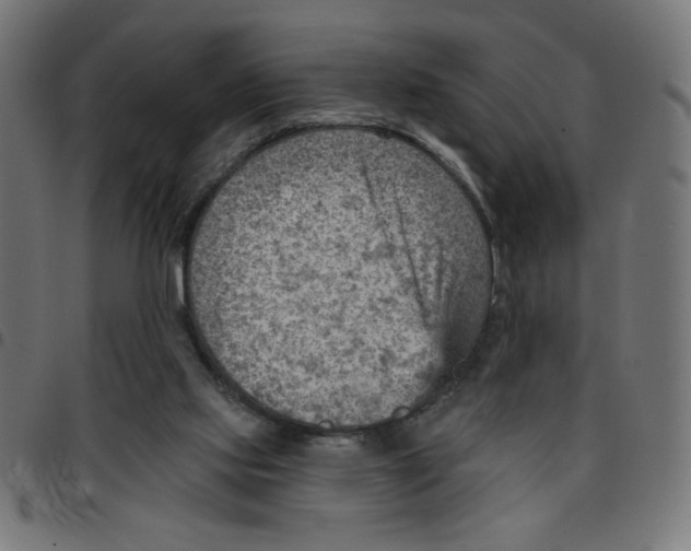 X0000096950061200803071037