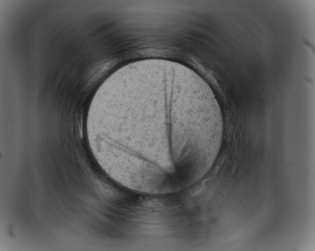 X0000096950062200803071037