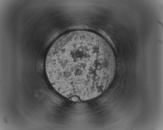 X0000096950063200803071037
