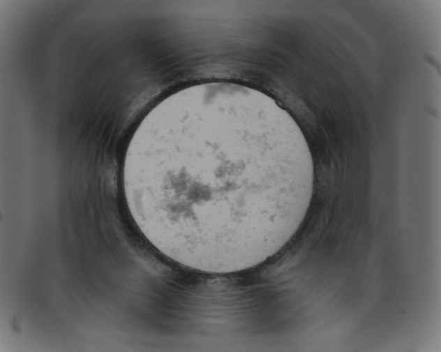 X0000096950064200803071037