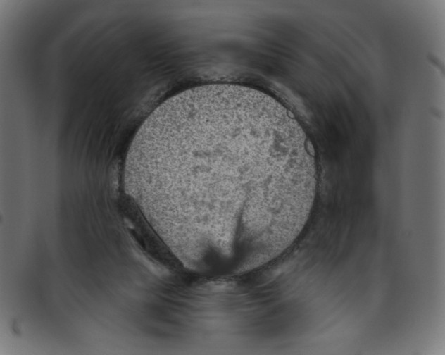 X0000096950065200803071037
