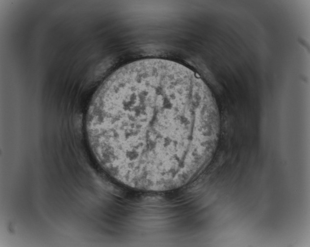 X0000096950066200803071037