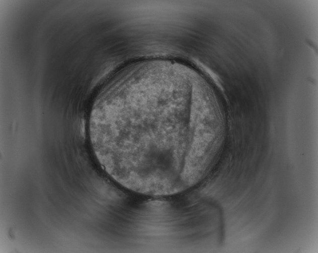 X0000096950067200803071037