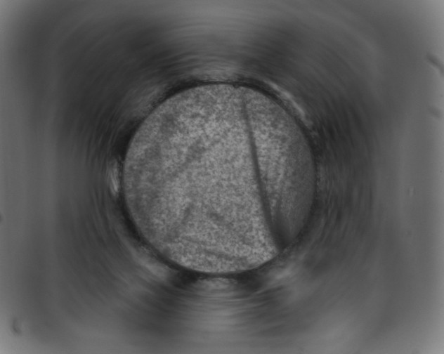 X0000096950069200803071037