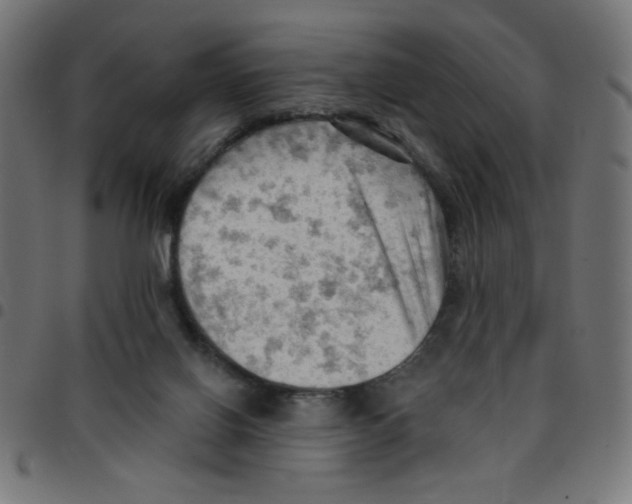 X0000096950070200803071037