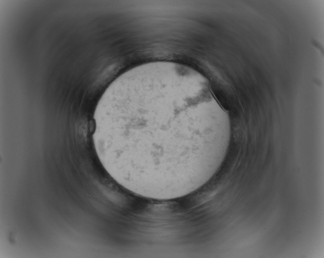X0000096950072200803071037