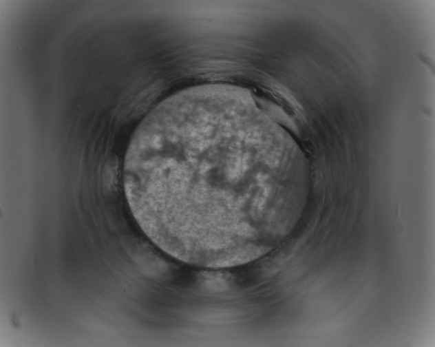 X0000096950073200803071037