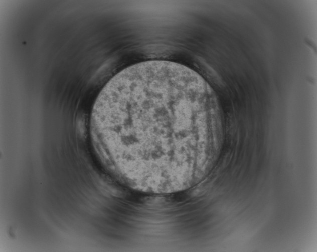 X0000096950074200803071037