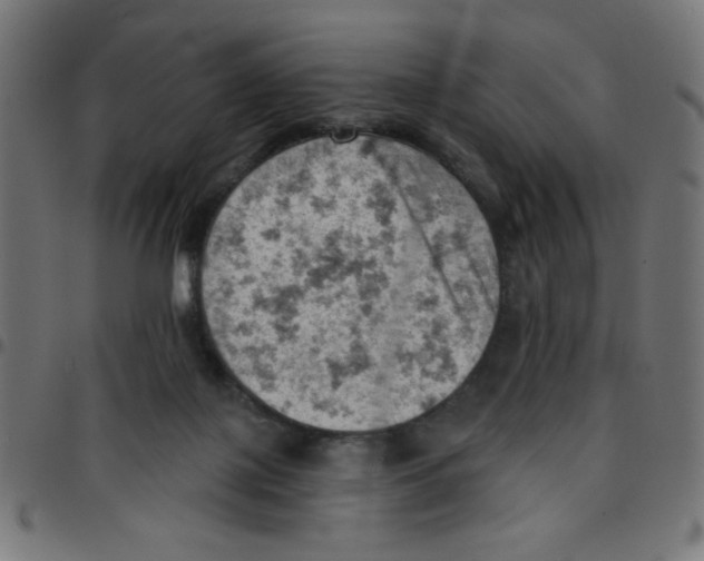 X0000096950075200803071037