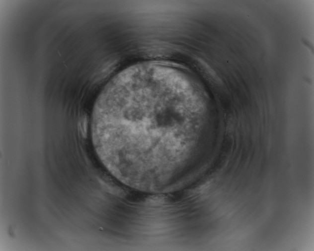 X0000096950076200803071037