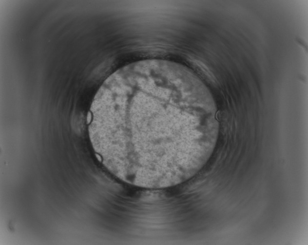 X0000096950077200803071037