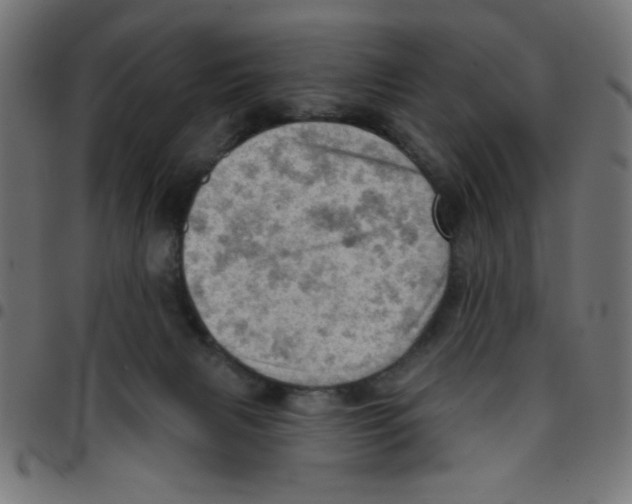 X0000096950079200803071037