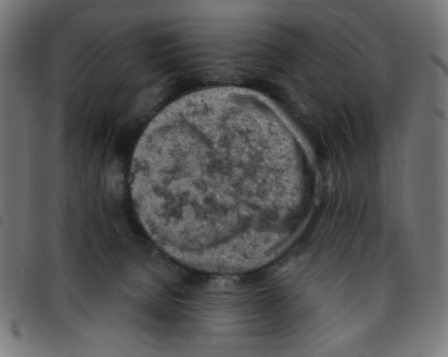 X0000096950080200803071037