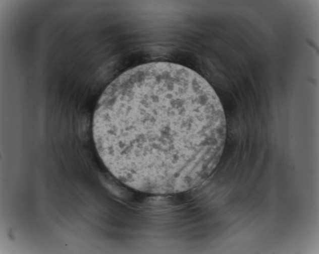 X0000096950082200803071037