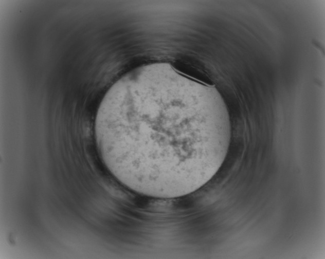 X0000096950084200803071037