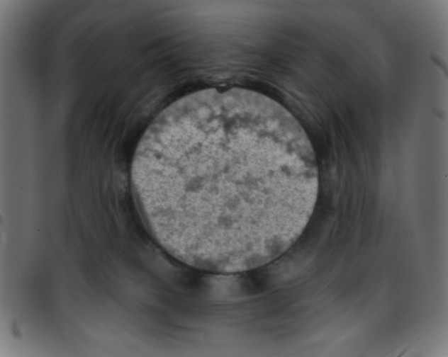 X0000096950085200803071037