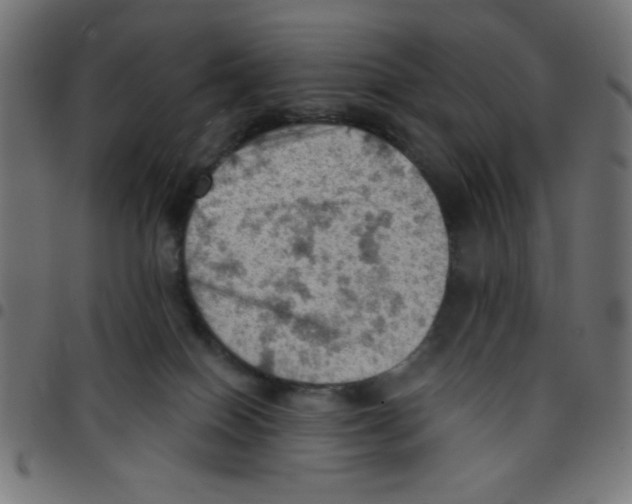 X0000096950086200803071037