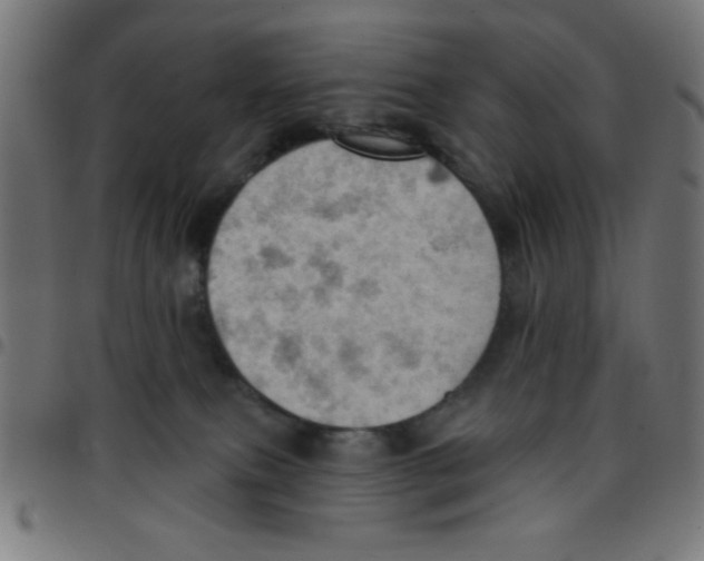X0000096950087200803071037