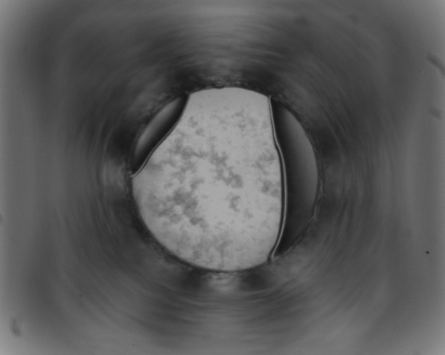 X0000096950088200803071037