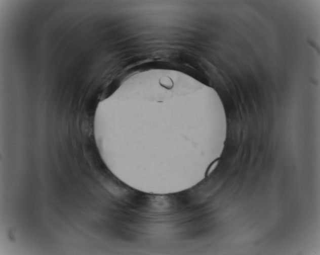 X0000096950091200803071037