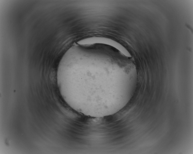 X0000096950092200803071037