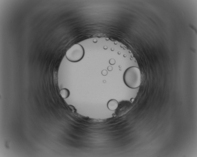 X0000096950093200803071037