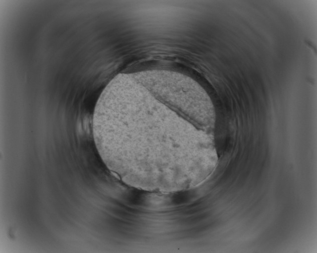 X0000096950094200803071037
