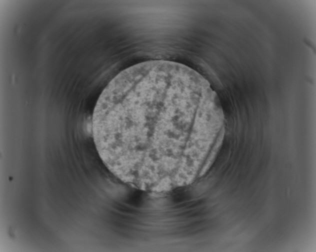 X0000096950095200803071037