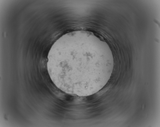 X0000096950096200803071037