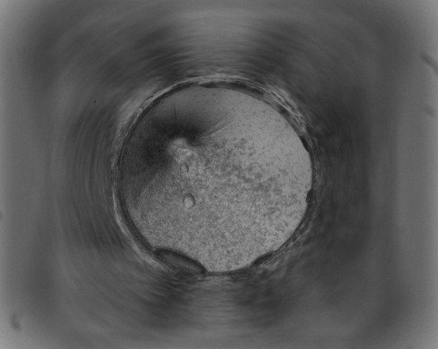 X0000096950097200803071037