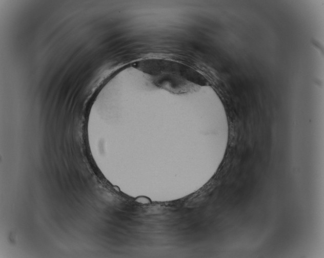 X0000096950098200803071037